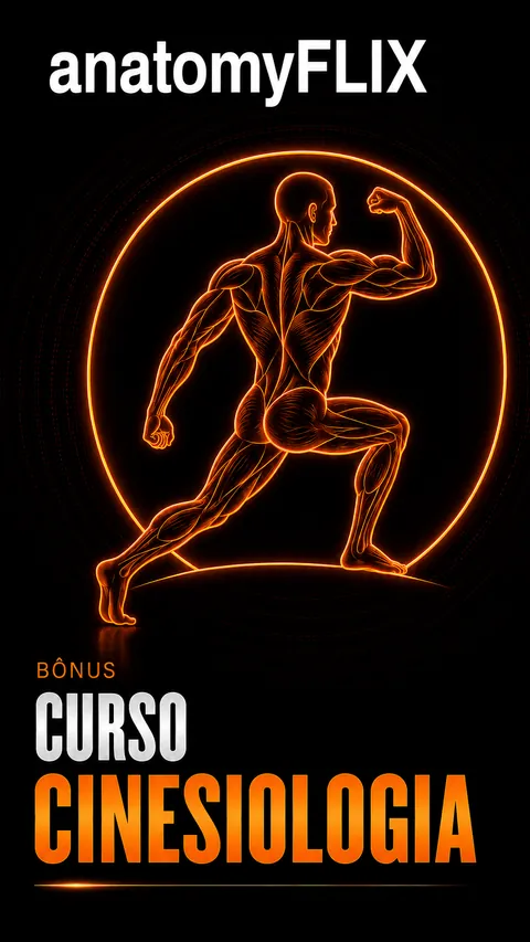 Capa do bônus Curso de Cinesiologia