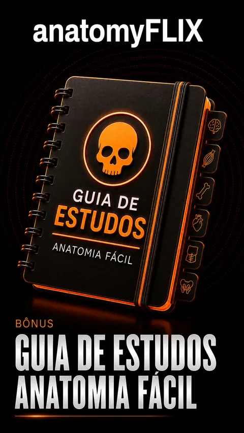 Capa do bônus Guia de Estudos Anatomia Fácil