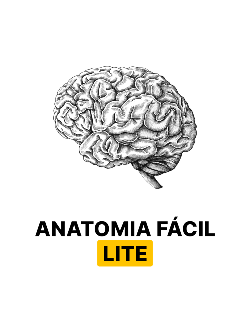 Anatomia Fácil Lite